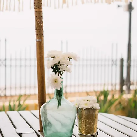 Ipv Palace & - Adults Recommended Hotel 4*