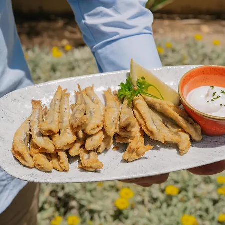 Hotel Ipv Palace & - Adults Recommended 4*