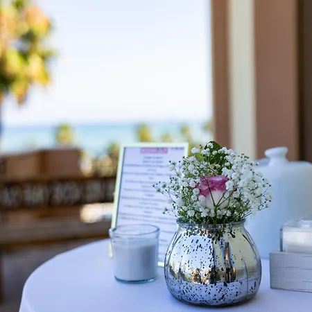 Ipv Palace & - Adults Recommended Hotel 4*